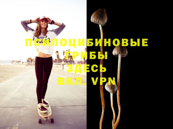 прущие грибы Кулебаки