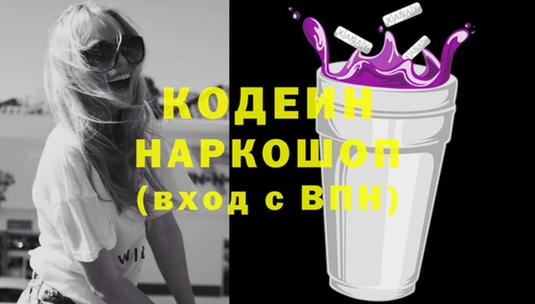 прущие грибы Кулебаки