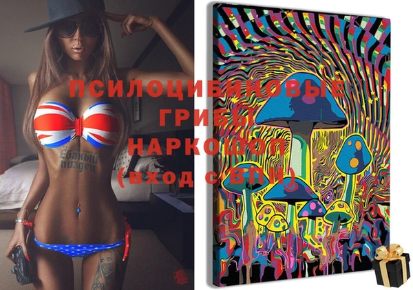 прущие грибы Кулебаки