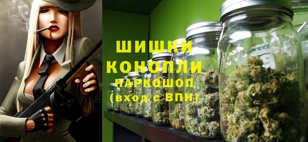 прущие грибы Кулебаки