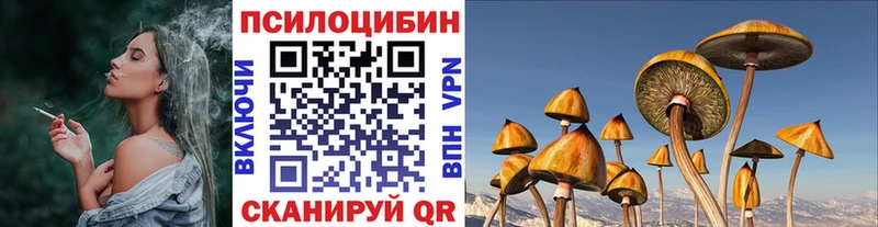 Купить где  Прохладный  Псилоцибиновые грибы прущие грибы 